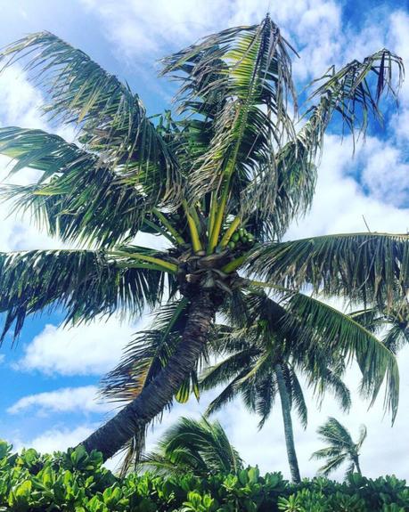 Dream Vacation in Oahu or Planning is the Key. Part I — Big City Gal