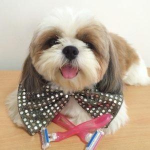 Make Shaving Less Irritating with 99 Cent Razor! Make Shaving Less Irritating with 99 Cent Razor!