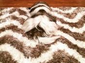 Dogs Have Mastered Camouflage