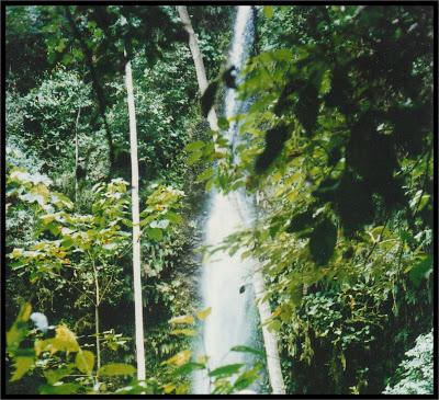 The earth groans, too