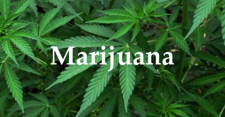 Four More States Legalize Marijuana Possession And Use