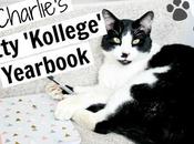 Charlie's Kitty 'Kollege' Yearbook