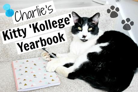 Charlie's Kitty 'Kollege' Yearbook