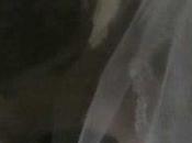 Trump White House? People Overwhelmingly Evangelical Ones, Catholic Mormon Ones