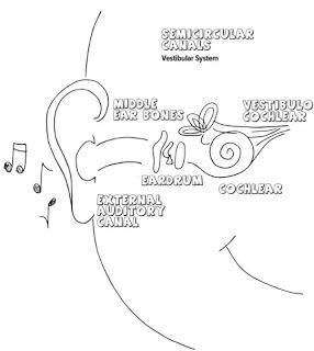 Book Review: Color my Senses: The Sensory Detective Coloring Book by Paula Aquilla BSc, OT, DOMP