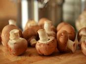 Choosing Worktop Busy Kitchen Environments