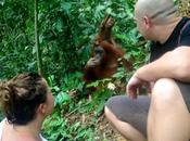 Tarzan Jane, Your Heart Journeytotheriverseablog