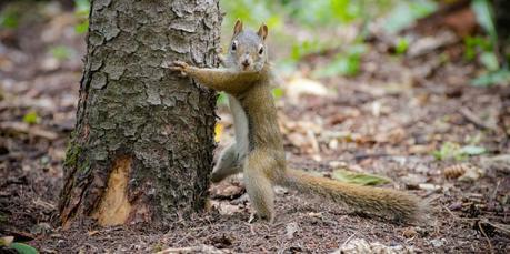 75% of Americans consider themselves environmentalists — I Ctrl Shift