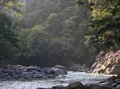 Bare Necessities: Gunung Leuser National Park Angela Jelita Richardson