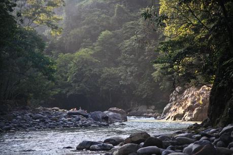 The Bare Necessities: Gunung Leuser National Park — Angela Jelita Richardson