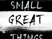 Small Great Things Jodi Picoult