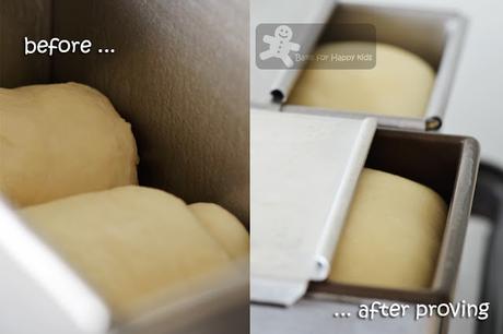 Japanese Shokupan Condensed Milk Sandwich Bread - Recipe One: So Cottony Soft!