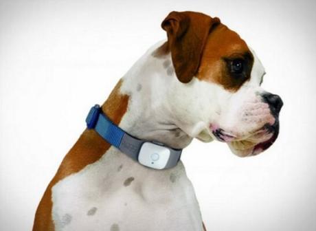 GPS Tracker Dog Collar