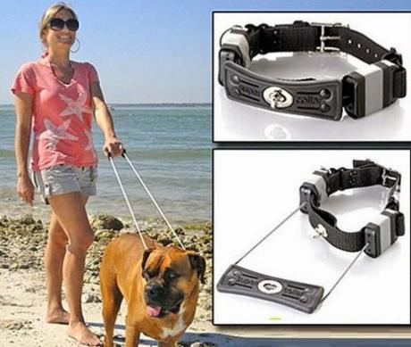 Built-in Leash Dog Collars