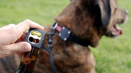 Bottle Opener Dog Collar