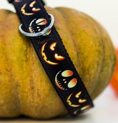 Halloween Dog Collars