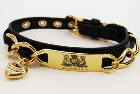 Gold Dog Collars