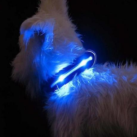 LED Lighted Dog Collars