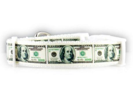 Cash Dog Collars