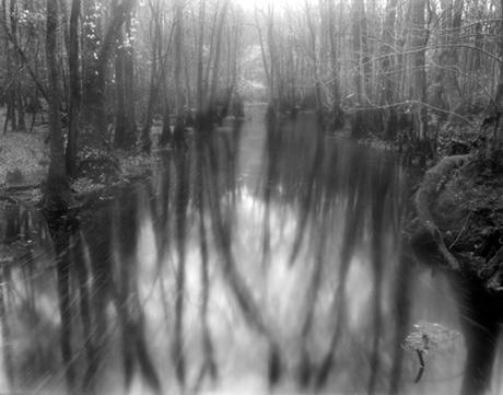 Art Gallery Pop Up On Newbury Street Sally Mann