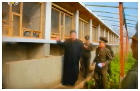 Kim Jong Un tours the greenhouse and rabbit cages on Changjae Islet (Photo: Korean Central Television).