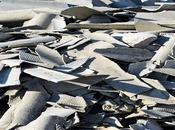 Factors Need Keep Mind While Hiring Reliable Experienced Asbestos Abatement Services