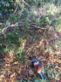 Product Review:  Stihl Compact Cordless Chainsaw MSA 120 C