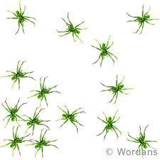 Empathic Listening Examples List Empathic Listening Examples List