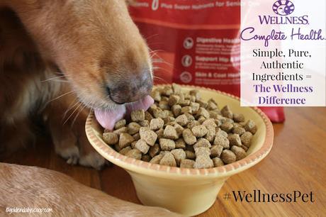 simple, pure and authentic ingredients in wellness complete health dog food