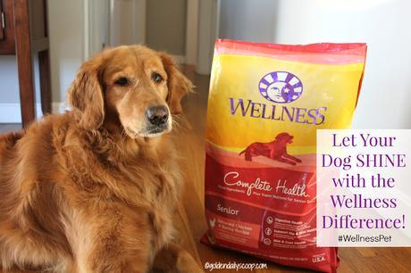 Wellness Complete Health dog food for senior dogs