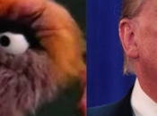 Bird Better Watch Step Because Donald Trump Could Coming