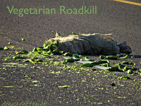 veg-roadkill