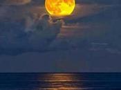 World’s Greatest Artist