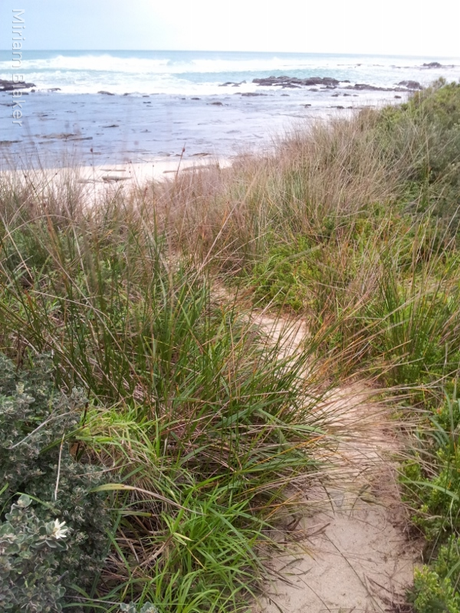 Trail to beach (600x800)