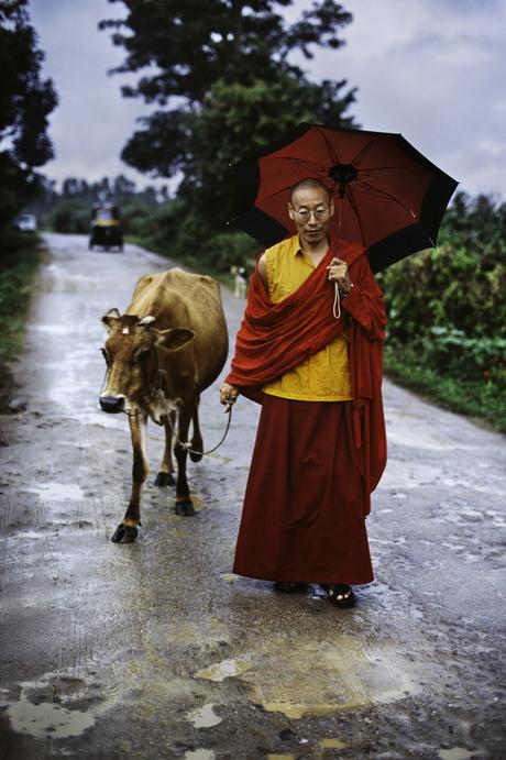 00131_04; Tibet; 2000; TIBET-10976