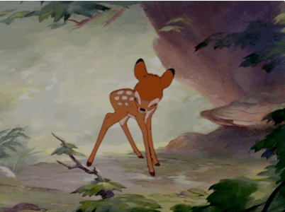 …post truth giphy1