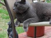 Roth 401k Better Than Traditional 401k?