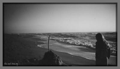 The Forgotten Victorian Craze for Collecting Seaweed, and other biblical thoughts on women's roles