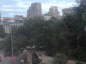 Remember Alamo