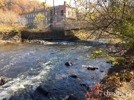 The flowing Brandywine offered a welcome sanctuary this past weekend. 