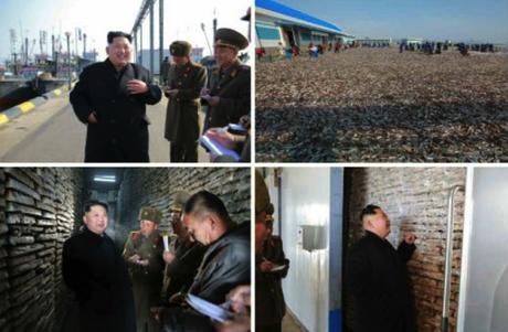 Kim Jong Un tours January 8 Fishery Station in photos which appeared on the top-right of page 4 of the November 17, 2016 edition of Rodong Sinmun (Photos: Rodong Sinmun/KCNA).