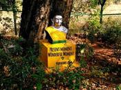 Inspiring Quotes Mindfulness from Thích Nhất Hạnh