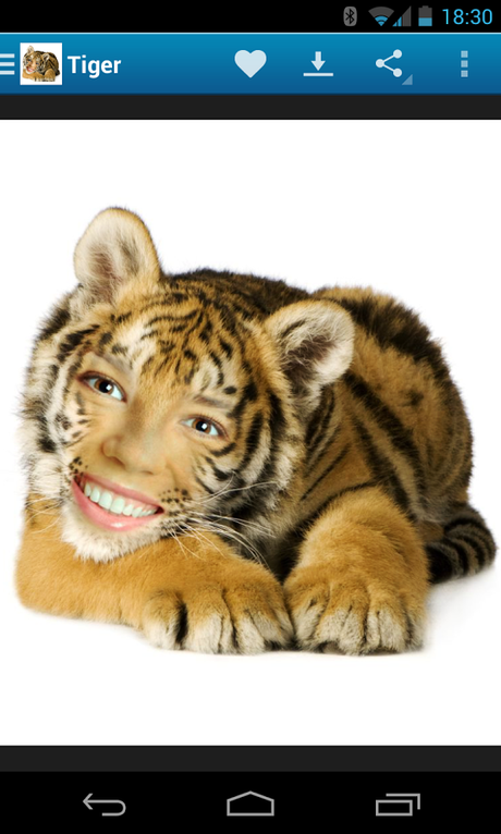 Photo Lab PRO Photo Editor v2.1.6.432 APK Pho.to Lab PRO - screenshot