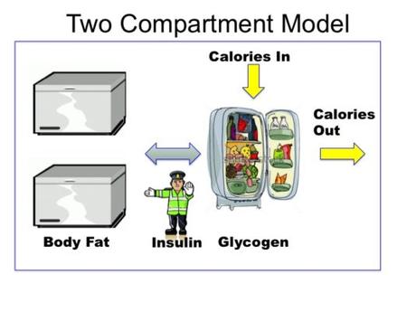 Obesity – Solving the Two-Compartment Problem