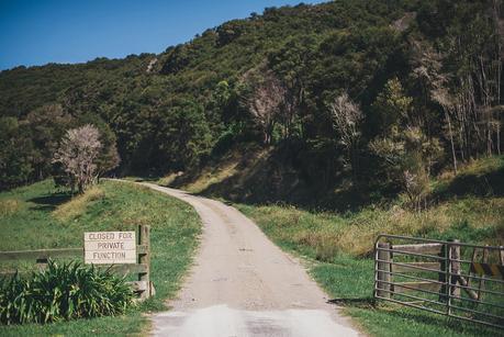 A Stylish Hawkes Bay Campground Wedding by Meredith Lord Photography