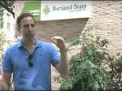 Hamas Fantastic!! (video)