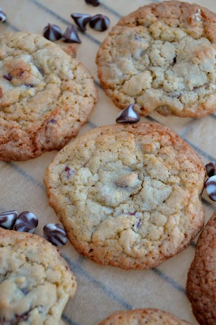 Cranberry Chocolate Chip Spice Cookies
