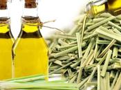 Health Medicinal Benefits Lemongrass Essential