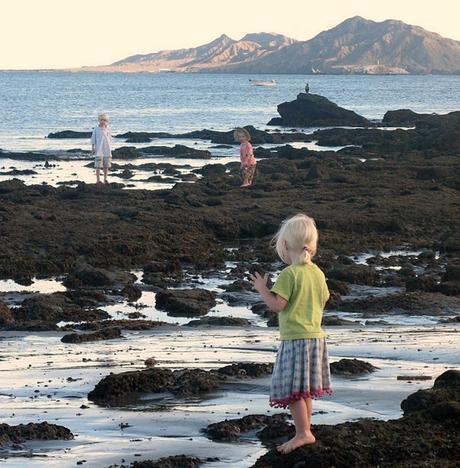 Beachcoming in Bahia de Tortuga, Baja, Mexico, 2008...our first cruising Thanksgiving