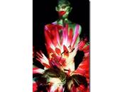 Review: [Trans]formation (Nothing Without Company)